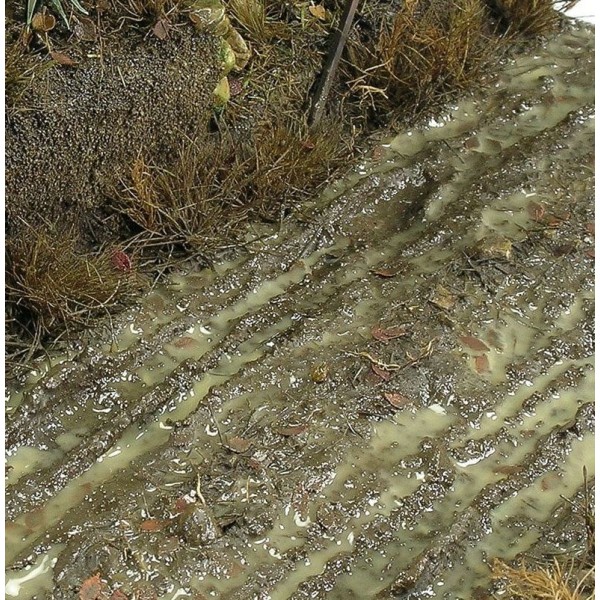 AK Interactive - Diorama Effects - Terrains Wet Ground (250ml)
