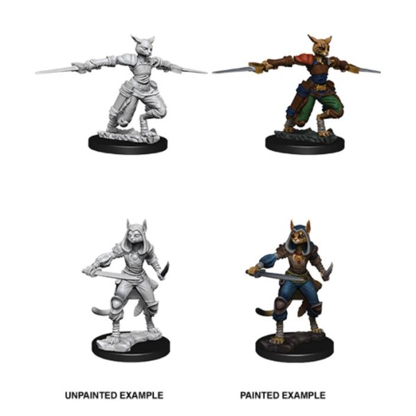 D&D - Nolzur's Marvelous Unpainted Minis: Tabaxi Female Rogue