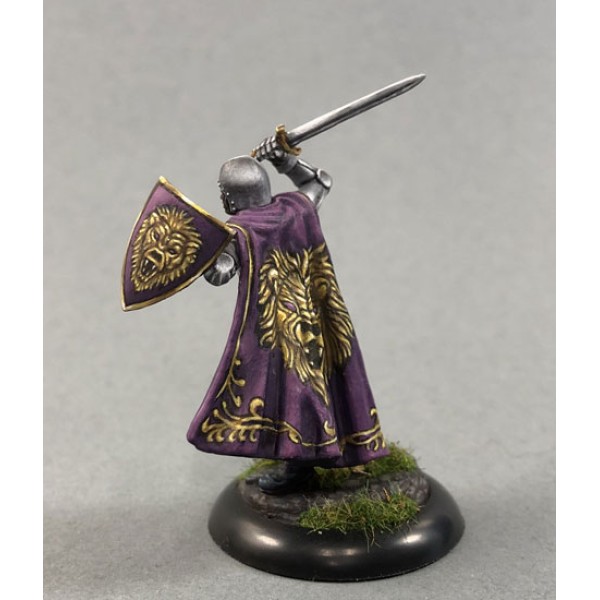 Dark Sword Miniatures - Visions in Fantasy - Male Warrior with Sword and Shield