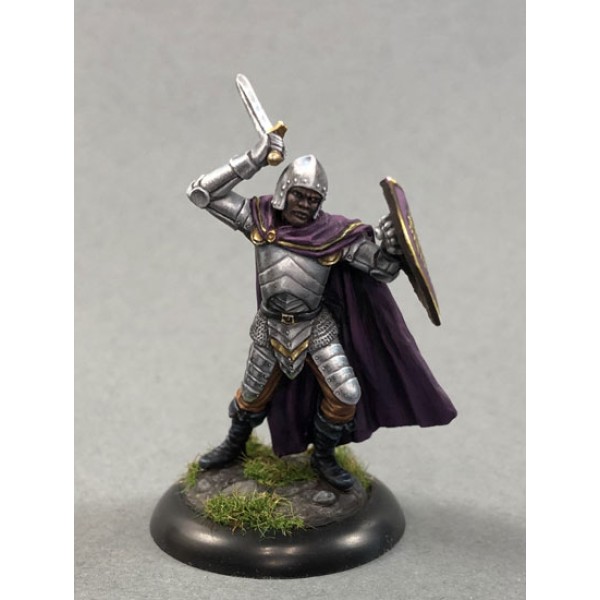 Dark Sword Miniatures - Visions in Fantasy - Male Warrior with Sword and Shield