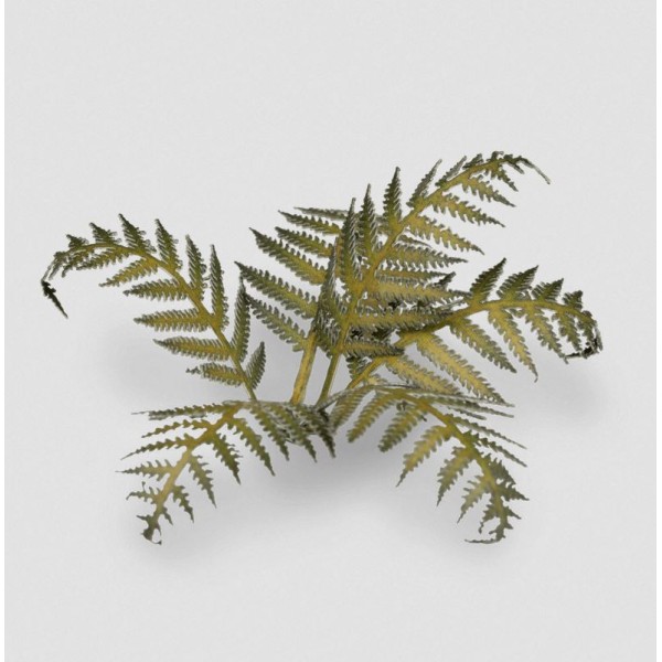 Gamer's Grass - Laser Cut Plants - Bracken