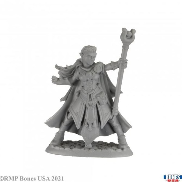 Reaper - Bones USA - Alaedril Starbloom, Elf Wizard