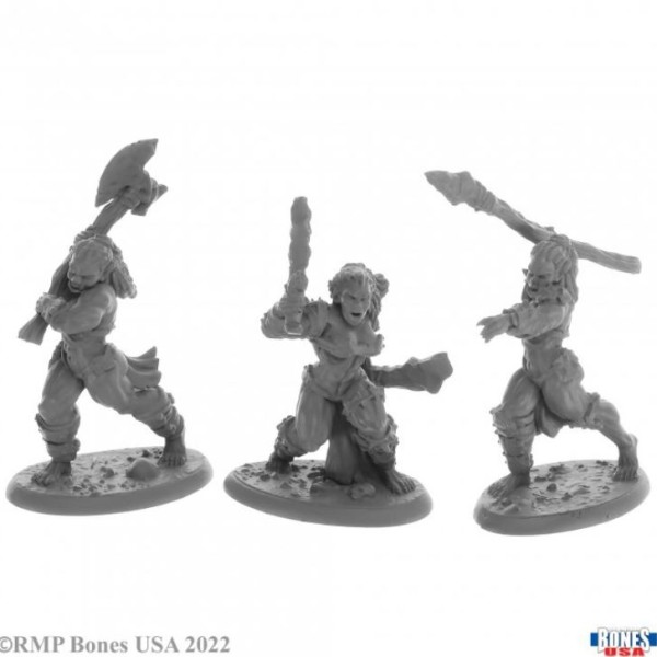 Reaper - Bones USA - Jade Fire Warriors (3)