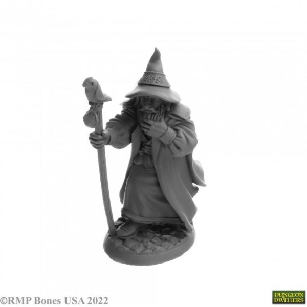 Reaper Dungeon Dwellers (Bones USA Plastic) - Landol Griwsold, Human Wizard
