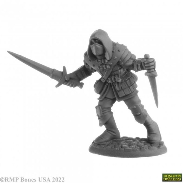 Reaper Dungeon Dwellers (Bones USA Plastic) - Naus, Waghalter Human Rogue