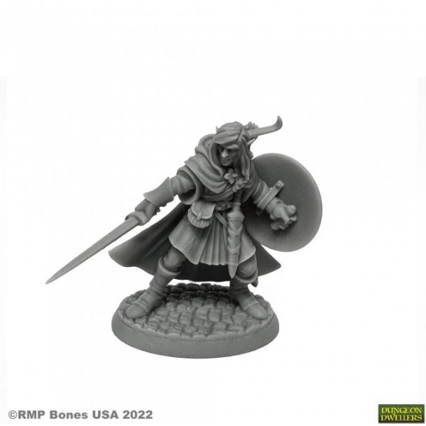 Reaper Dungeon Dwellers (Bones USA Plastic) - Mellonir Windrunner, Elf Warrior 