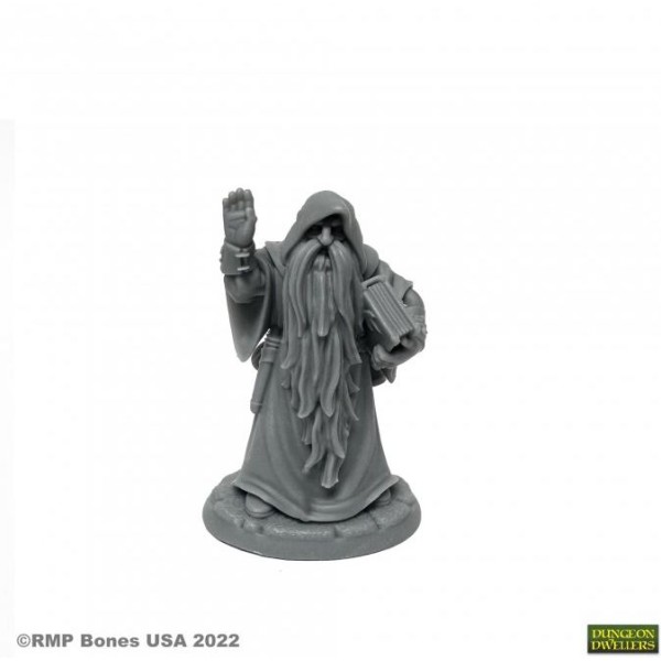 Reaper Dungeon Dwellers (Bones USA Plastic) - Belevos, Traveling Wizard