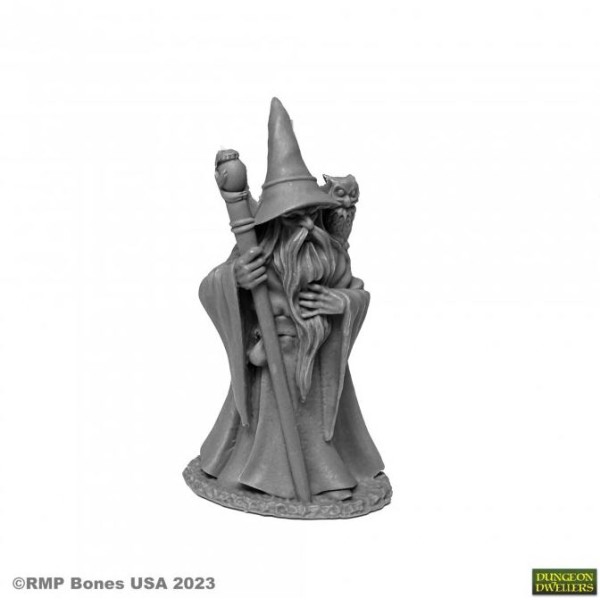 Reaper Dungeon Dwellers (Bones USA Plastic) - Anuminar Winterbeard, Wizard