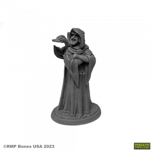 Reaper Dungeon Dwellers (Bones USA Plastic) - Zenfis Zadar, Wizard