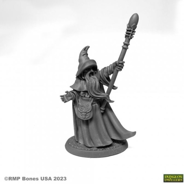 Reaper Dungeon Dwellers (Bones USA Plastic) - Arakus Landarzad, Wizard