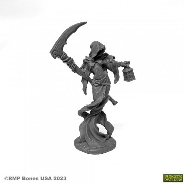 Reaper Dungeon Dwellers (Bones USA Plastic) - Female Wraith