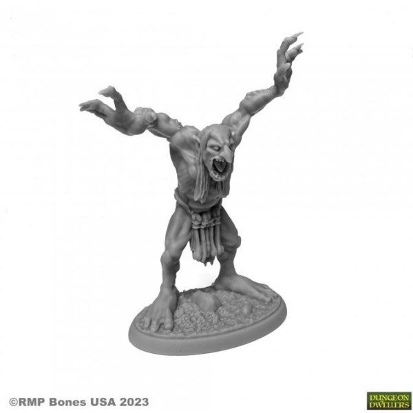 Reaper Dungeon Dwellers (Bones USA Plastic) - Moor Troll