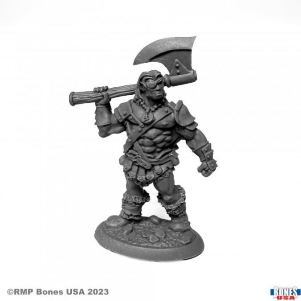 Reaper - Bones USA - Bertok the Brave, Human Barbarian