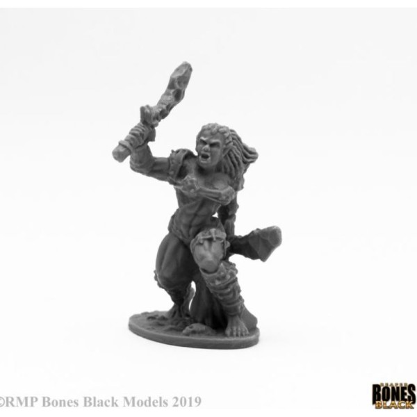 Reaper Bones Black - Jade Fire Warrior