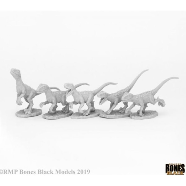 Reaper Bones Black - Raptor Hunting Pack (5)
