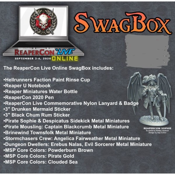 Clearance - Reaper - Reapercon 2020 - Swag Box