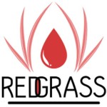 Redgrass Games - Wet Palettes / Painting Accessories