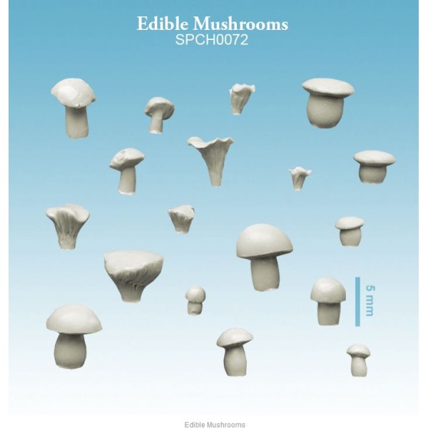 Spellcrow - 28mm Fantasy: Edible Mushrooms