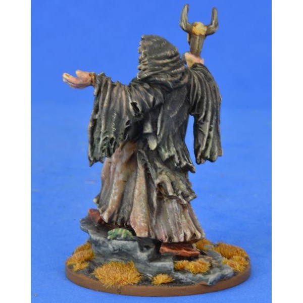 Saga - Pagan Priest 3 - The Seer