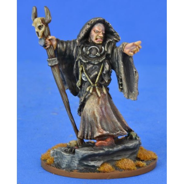 Saga - Pagan Priest 3 - The Seer