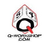 Q-Workshop Dice