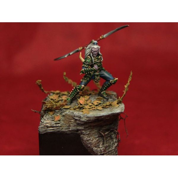Dark Sword Miniatures - Visions in Fantasy - Male Dark Elf Warrior w/ Double Bladed Sword