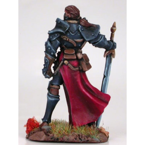 Dark Sword Miniatures - Visions in Fantasy - Male Knight w/ Weapon Assortment