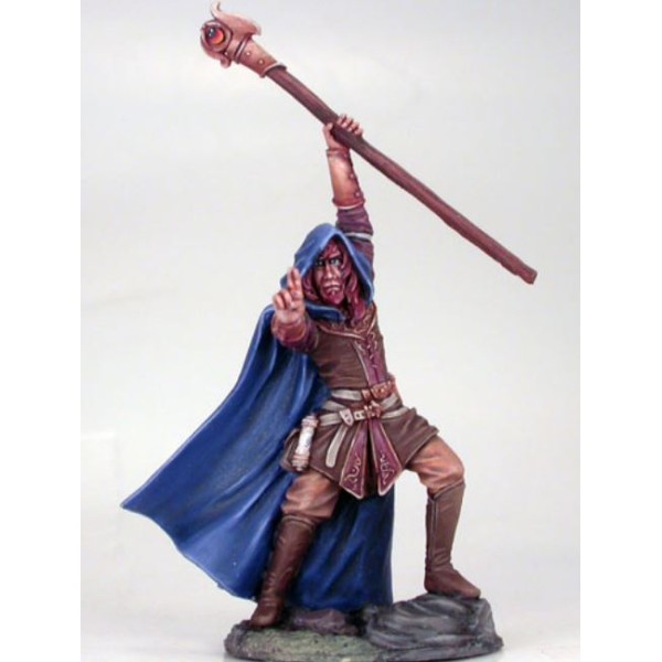 Dark Sword Miniatures - Visions in Fantasy - Male Mage w/ Staff