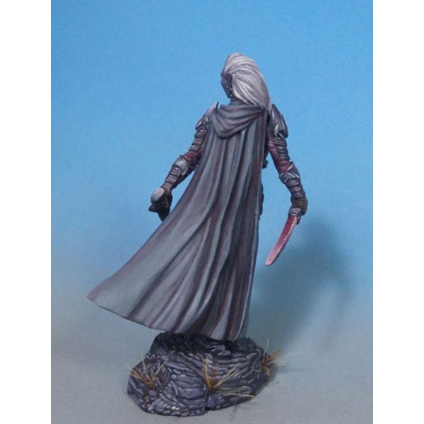 Dark Sword Miniatures - Visions in Fantasy - Female Dark Elf Warrior - Dual Wield