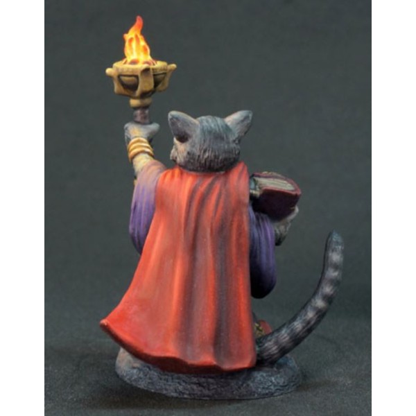 Dark Sword Miniatures - Critter Kingdoms - Archer, Grumpy Cat Warlock