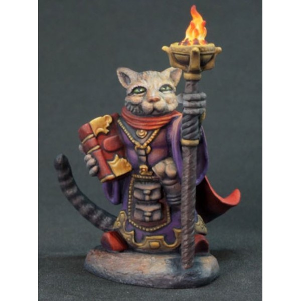 Dark Sword Miniatures - Critter Kingdoms - Archer, Grumpy Cat Warlock