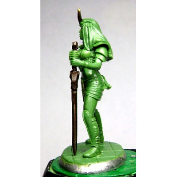 Dark Sword Miniatures - Elmore Masterworks - Female Royal Guard