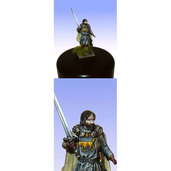 Dark Sword Miniatures - George R. R. Martin Masterworks - Eddard Stark