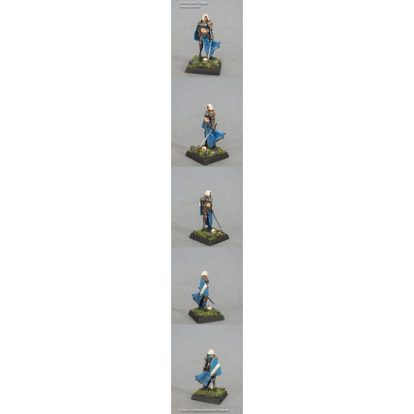 Dark Sword Miniatures - Visions in Fantasy - Female Cavalier with Sword/Shield