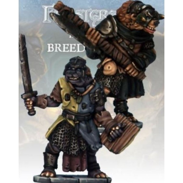 Frostgrave - Gnoll Knight & Templar