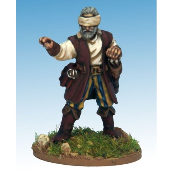 Frostgrave - Ghost Archipelago - Stormwarden II