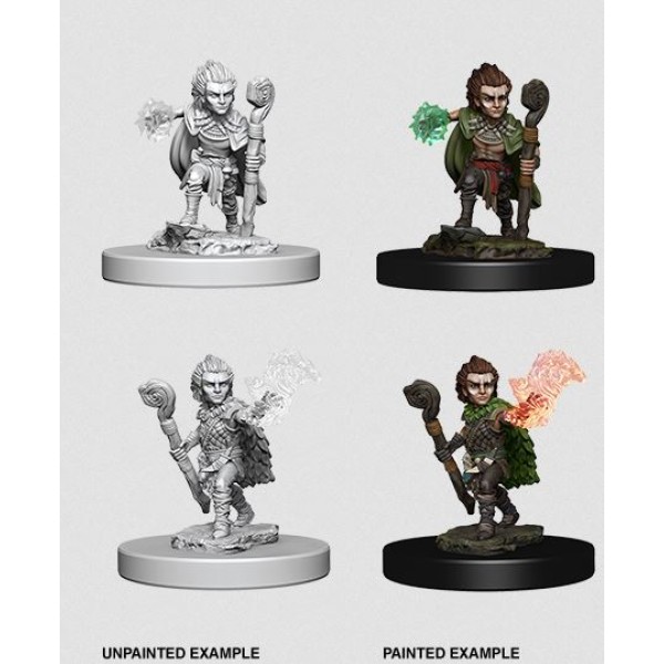 Clearance - Pathfinder - Deep Cuts Unpainted Miniatures: Gnome Male Druid