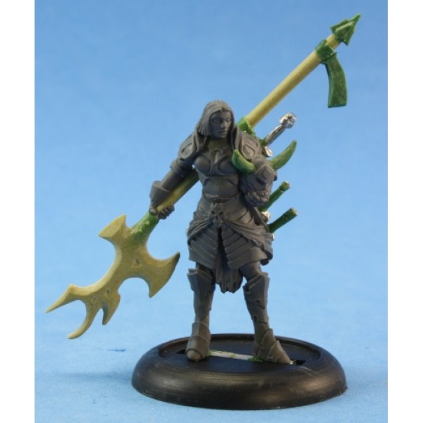 Reaper - Pathfinder Miniatures: Hellknight Order of the Pyre