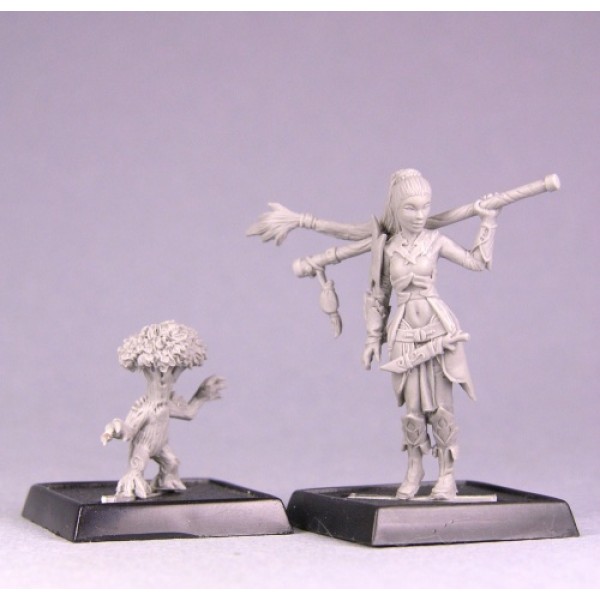 Reaper - Pathfinder Miniatures: Druid & Familiar